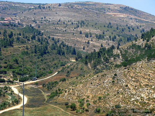 Jerusalem Hills_2.jpg